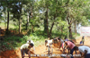 Special Camp Held at Guttakaadu Village - a social initiative